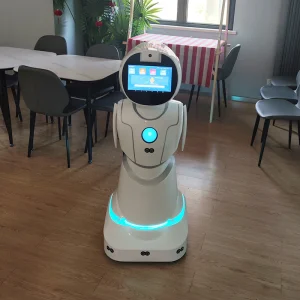 Healthcare Medication Reminders Vital Signs Monitoring Humanoid Service Robot