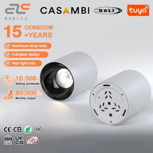 Dimmable LED Downlights Indoor Decoration