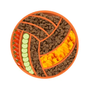 Dogs Anti-Choking Slow Feeding Puzzle Bowl