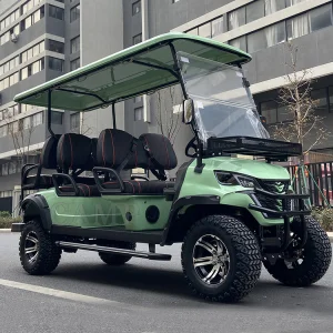 6 Seater Lithium Cart