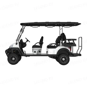Personalized 6 Person Electric Golf Buggy