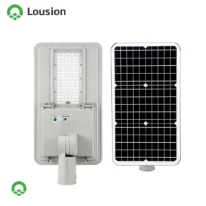 Sustainable Solar Street Lighting for Contemporary Urban Spaces