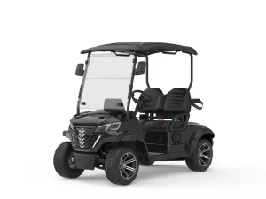 Carrinho de Golfe Elétrico Mini Elevado