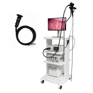 Veterinary Endoscope System