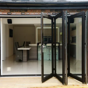 Hurricane Impact Doors