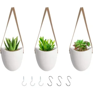 Hanging Planter Wall Self-Watering