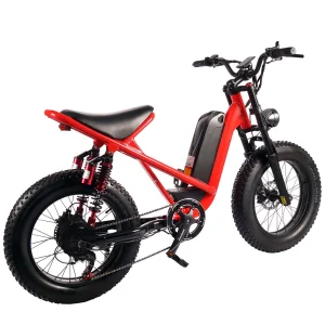 48V Electric Bike 20 Inches 250W Electric City Bike 500W 1000W Road Electric Bike E8