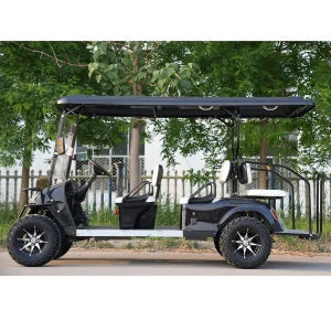 Mini Electric Golf Buggy