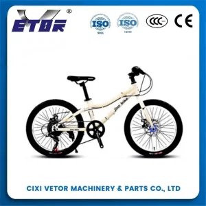 Wholesale 20-inch aluminum alloy mountain bike