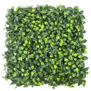 Boxwood Hedge Wall