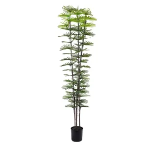 Wholesale Highly Realistic Plastic Fan Palm 210cm 3 Branches 59 Leaves Low Maintenance Decor Manufacturer, Suppliers