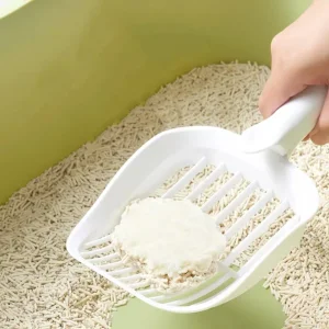 Mistura tofu mandioca