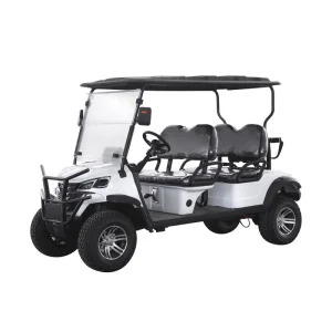 Mini Electric Golf Cart