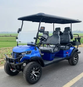 Lithium Battery Golf Cart