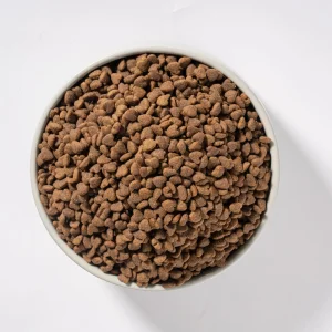 OEM/ODM China Manufacturer Wholesale Price High Protein Cat Food, 1kg Bag Balanced Nutrition Dry Kibble