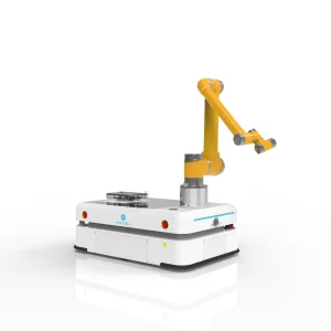 Wellwit Standard Series Agv Robot with Robot Chassis and Robot Arm
