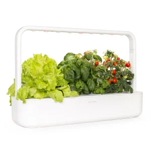 Herb Garden Kit