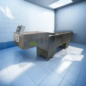 Professional Body or Coffin Charging System for Cremation Machine Equipment