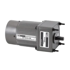 High Torque 3000 RPM Micro Single Phase AC Gear Motor Induction Motor 6-250W IP54 Flange Mount 50/60Hz TQG IE3