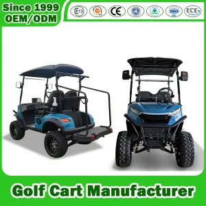 Fabricante de Carrinho de Golfe Luxo