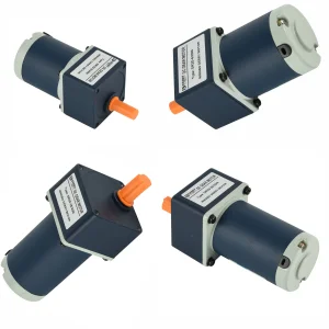 Customizable 12V/24V/48V/90V/220V DC2GN Small Dc Gear Motor with 6W/10W/15W/20W Capacity Permanent Magnet Brush