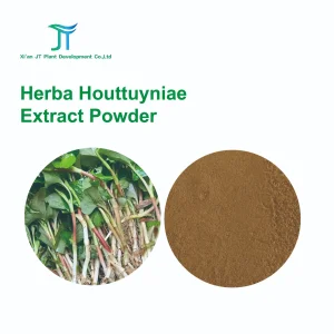 Herba Houttuyniae Extract Powder Chinese Medicine