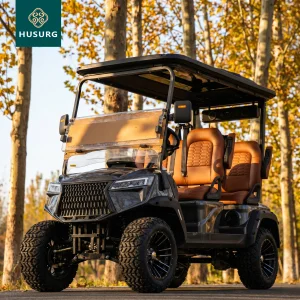 Robust Electric Off Road Golf Cart 6 Seater All-Terrain LSV