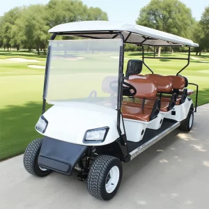 Best Price Lithium Battery 60/72V Adults Solar Panels Powered 8 Seater off Road Beach Buggy Electric Golf Cart