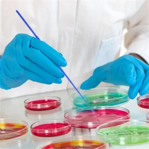Sterile Microbiology Bacteria Loop