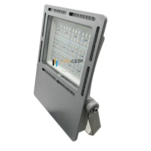 Stainless Steel Floodlight