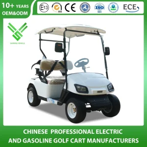 Factory 2 Seater Electric Utility Golf Cart with CE Certificate