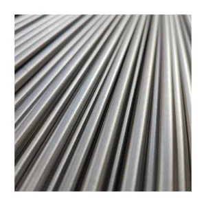 Hot Sell Insoluble Dsa Ru-IR IR-Ta Lead Platinum Coated Plate Mesh Rods Tubular Gr1 Gr2 Titanium Anode