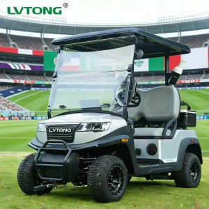 Lvtong 48V 2 Seater Electric Golf Cart Lithium Battery Golf Buggy Utility Vehicle for Golf Course Farm Patrol