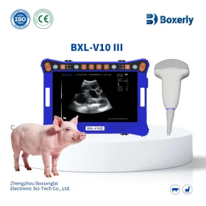 Bxl-V10 III Máquina de Ultrasonido Veterinario Económica para Animales Grandes Ganado Caballo Oveja