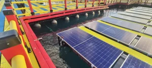 Floating Solar PV Platform Solar Dock for Marine Aquaculture