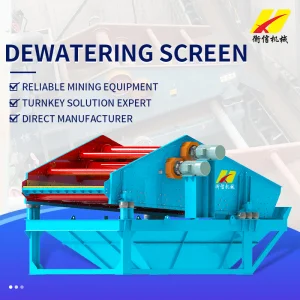 Vibrating Dewatering Screen