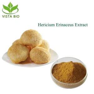 Health Care Supplement Organic Lion′ S Mane Mushroom Beta Glucans Powder Hericium Erinaceus Extract
