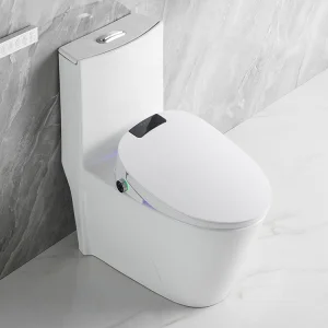 New Modern Bathroom Electric Bidet Intelligent Smart Toilet Seat with Remote