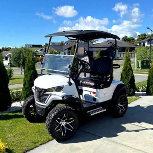 Electric Golf Carts for Sale Cheap Prices