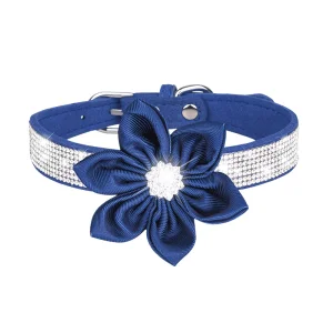 Featured Bling Collar