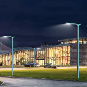 Die-Casting Aluminum LED Pole Top Lights Outdoor 100W Street Garden Post Light for Yards