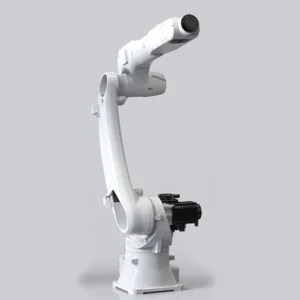 Industrial Robot for Logistics Warehousing Automatic Sorting Palletizing and Handling