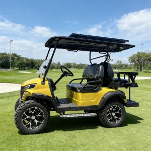 Wolan 5KW Utility Patrol Cart