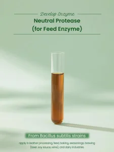 Liquid Feed Grade Neutral Protease Enzyme Improve Protein Utilization and Animal Growth
