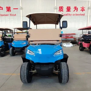 Street Legal 2-Seater Electric Golf Buggy
