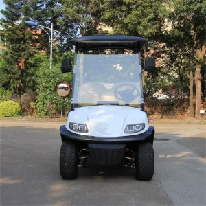 Electric Utility Cart