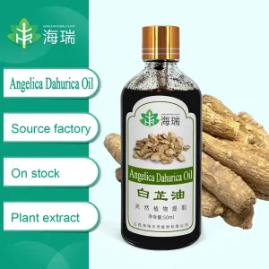 Best Food Grade Herb Oil Angelica Dahurica Oil