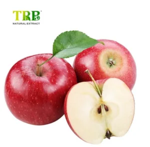 Apple Extract