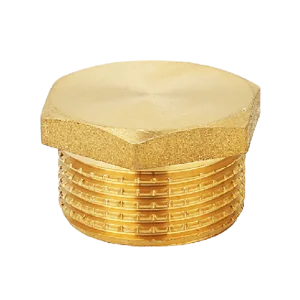 China Male Thread Brass Fitting Plug