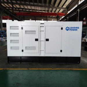Silent LPG Natural Gas Generator Set